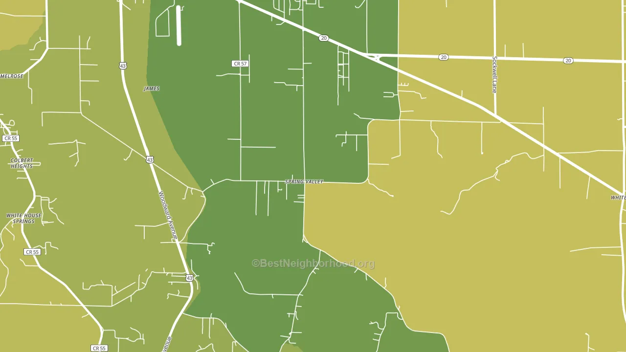Spring Valley, AL block-group voter-turnout map
