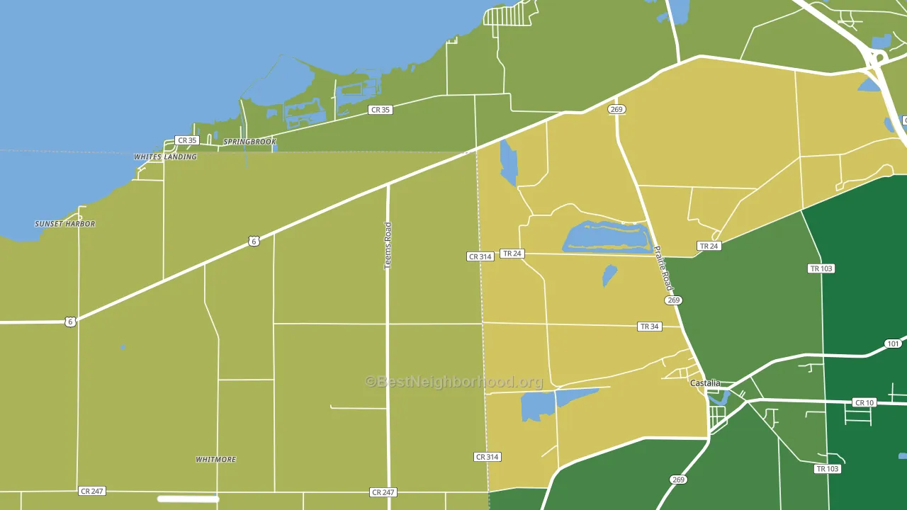 Springbrook, OH block-group voter-turnout map