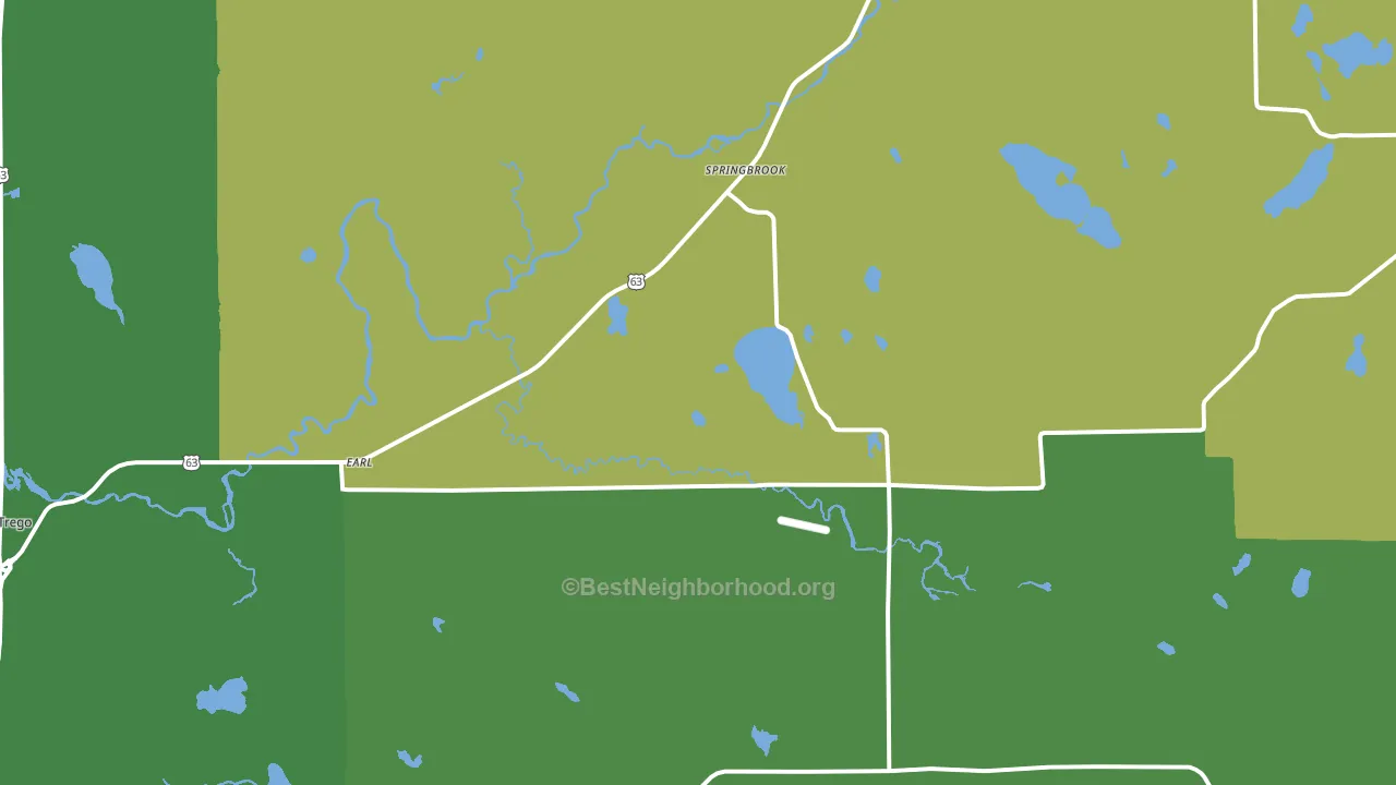 Springbrook, WI block-group voter-turnout map