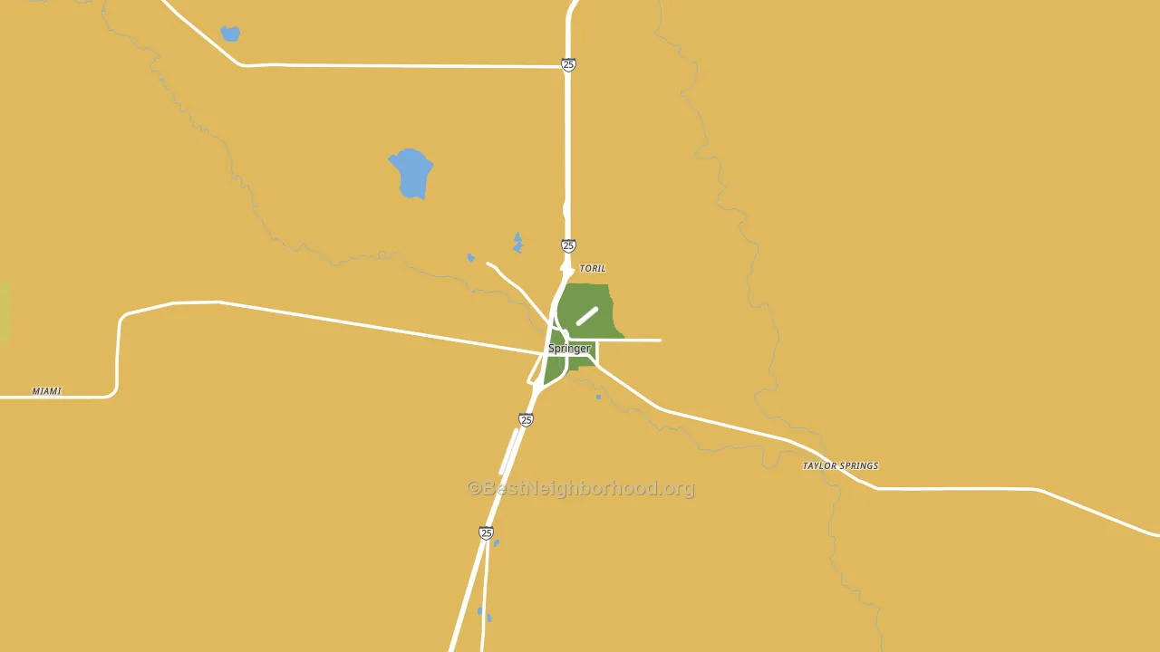 Springer, NM block-group voter-turnout map