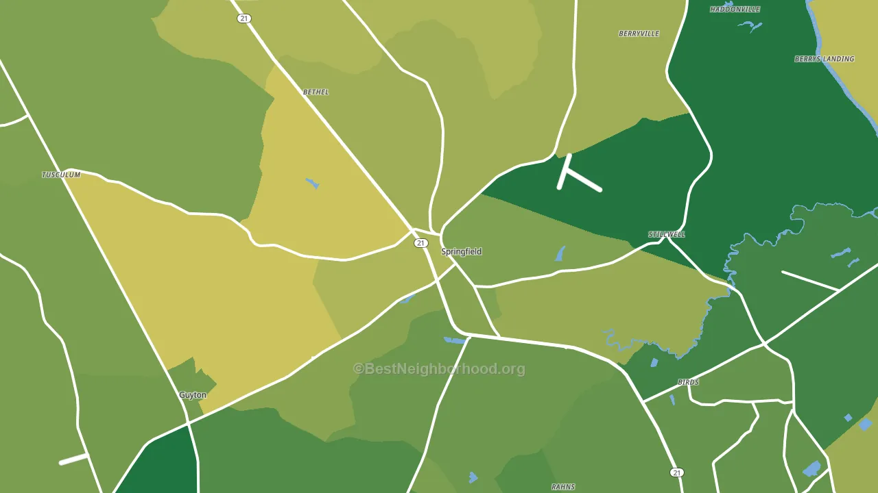 Springfield, GA block-group voter-turnout map