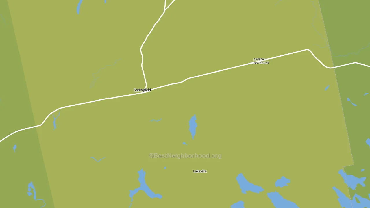Springfield, ME block-group voter-turnout map