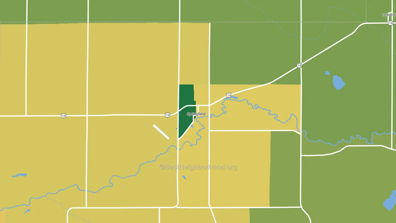 Springfield, MN block-group voter-turnout map