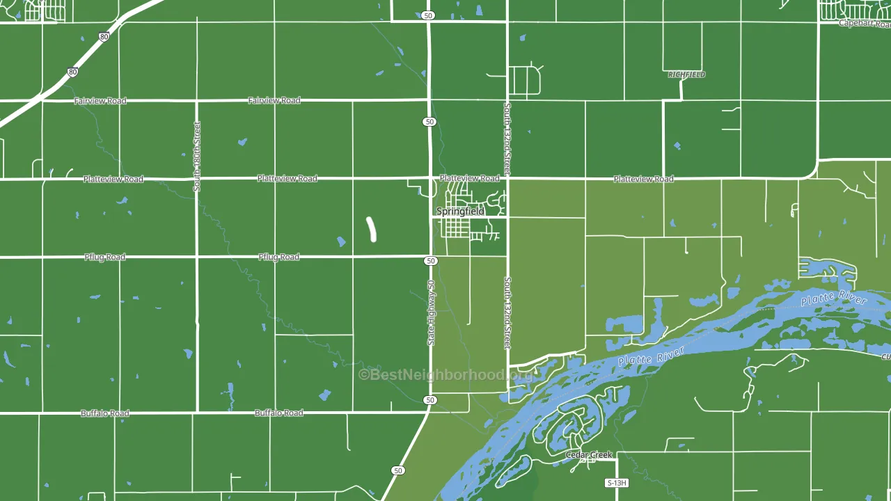 Springfield, NE block-group voter-turnout map