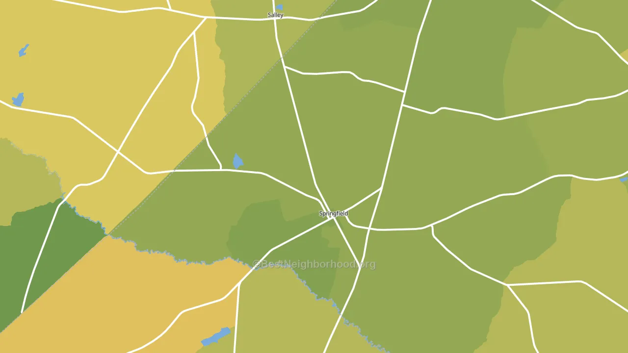 Springfield, SC block-group voter-turnout map