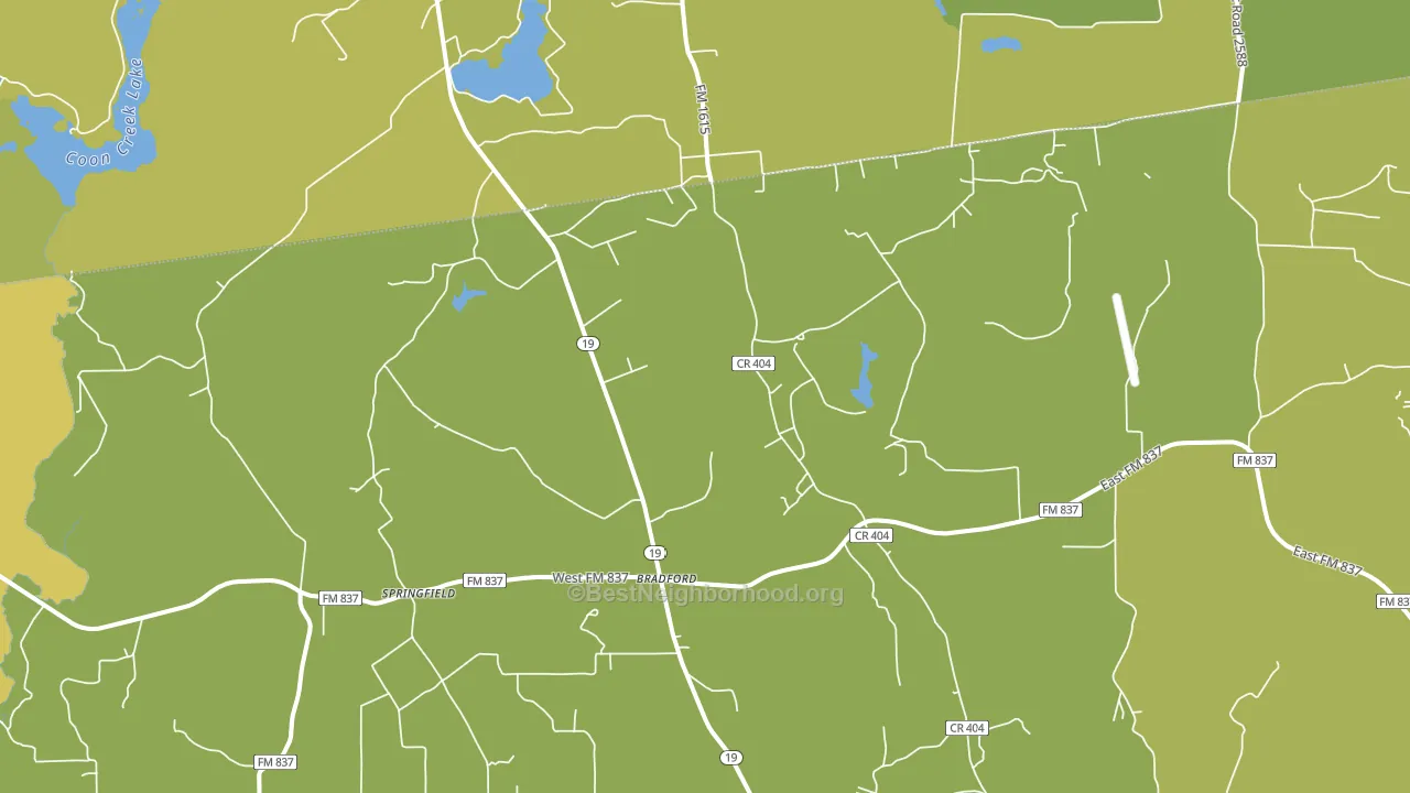 Springfield, TX block-group voter-turnout map