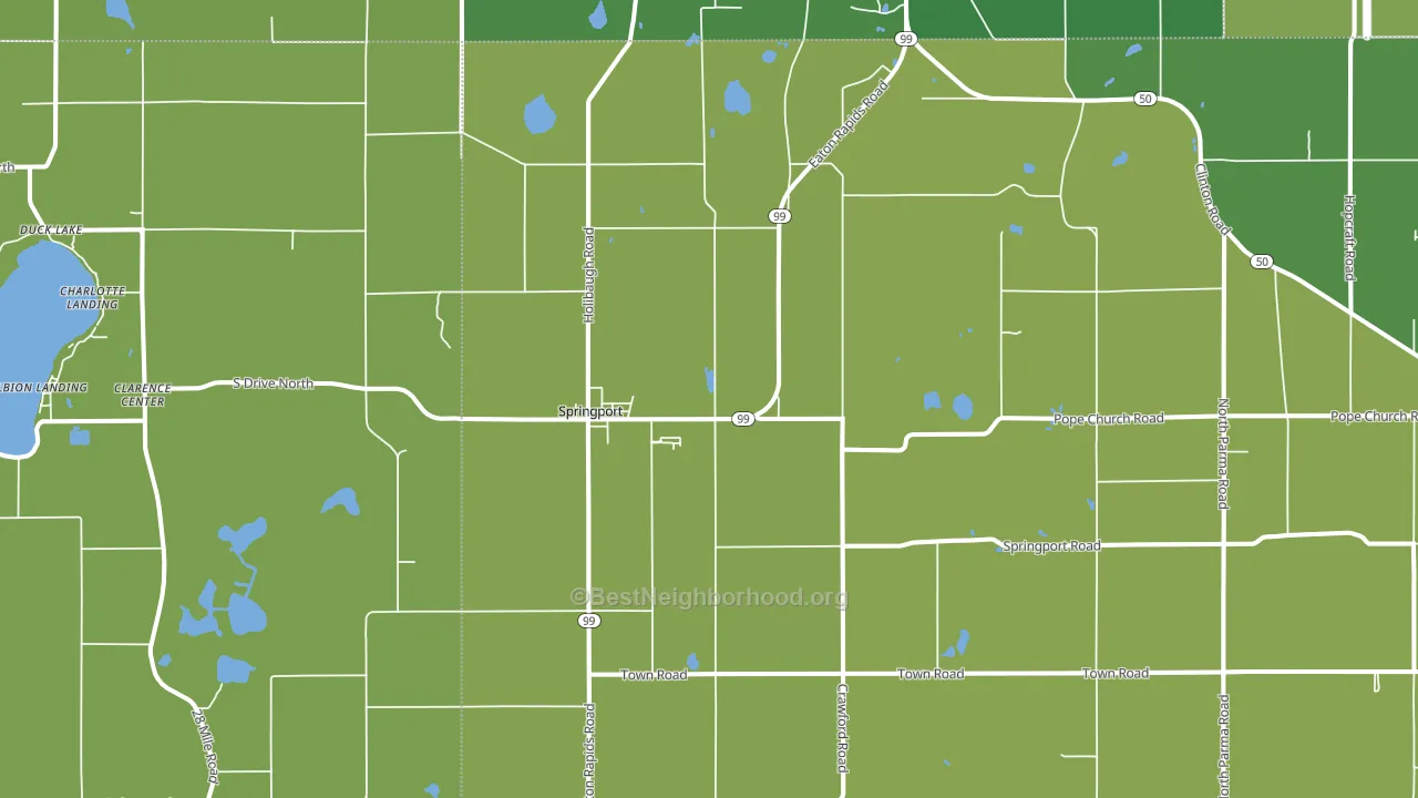 Springport, MI block-group voter-turnout map
