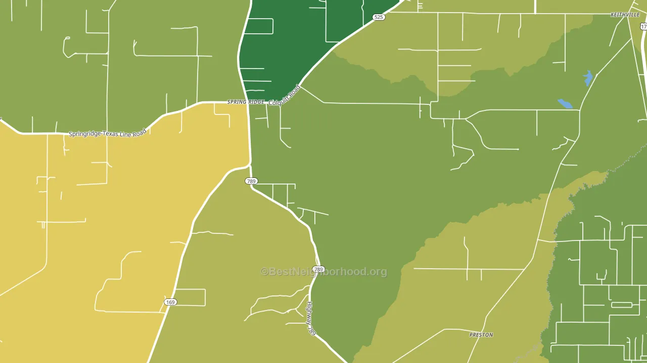 Springridge, LA block-group voter-turnout map