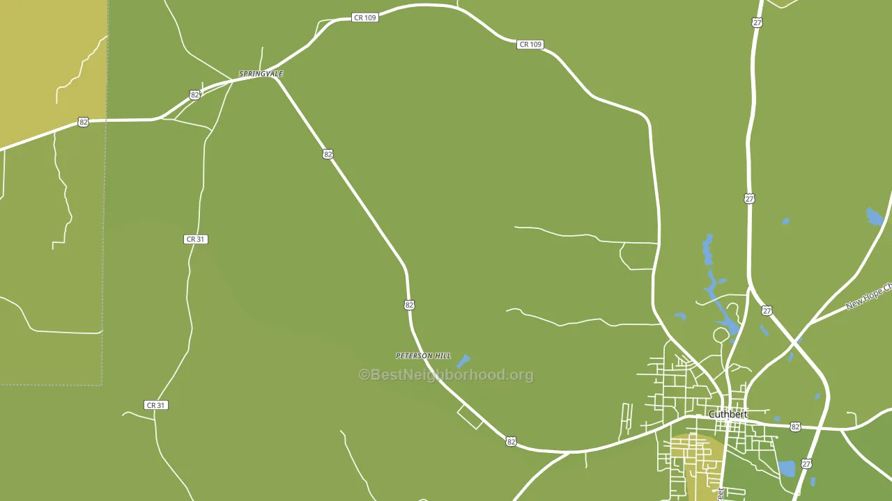 Springvale, GA block-group voter-turnout map