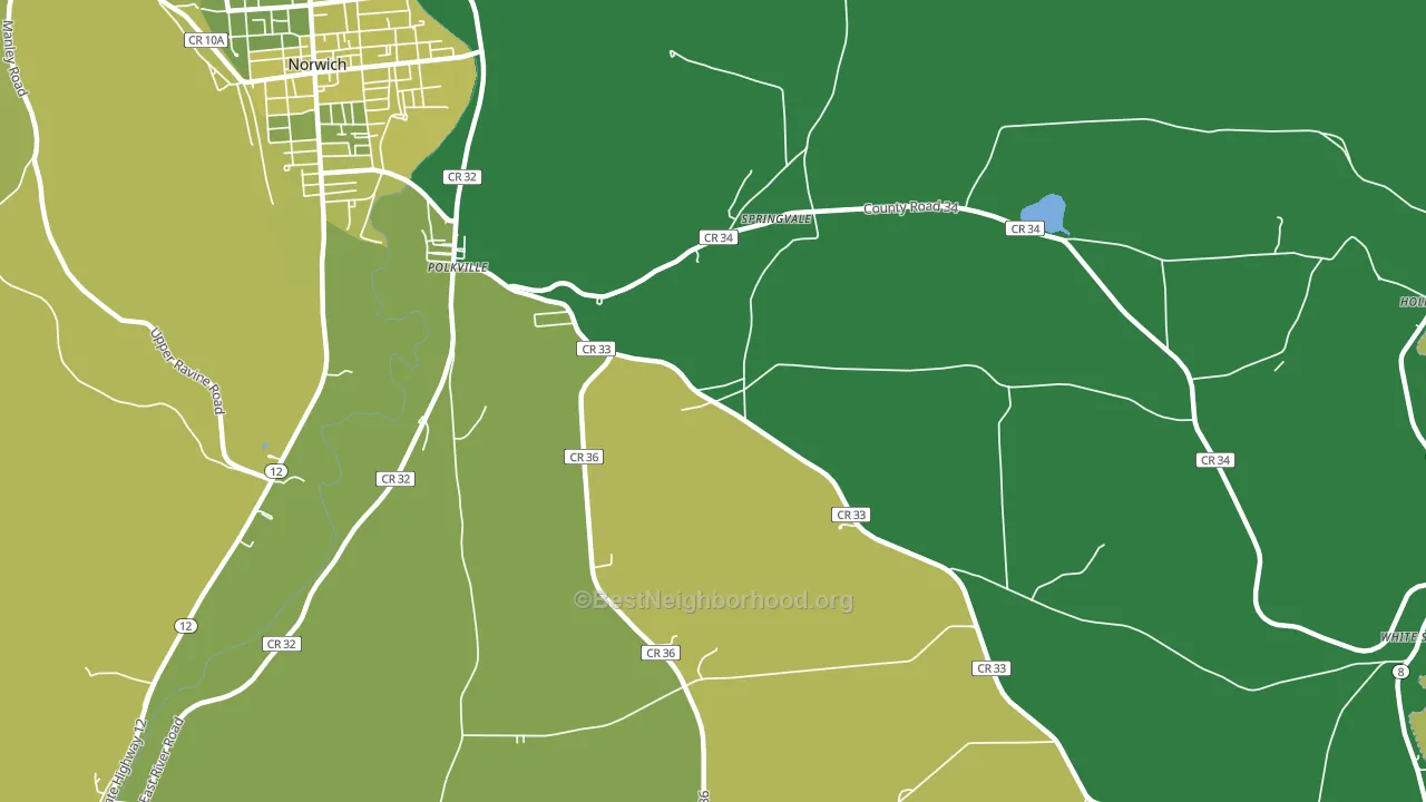 Springvale, NY block-group voter-turnout map