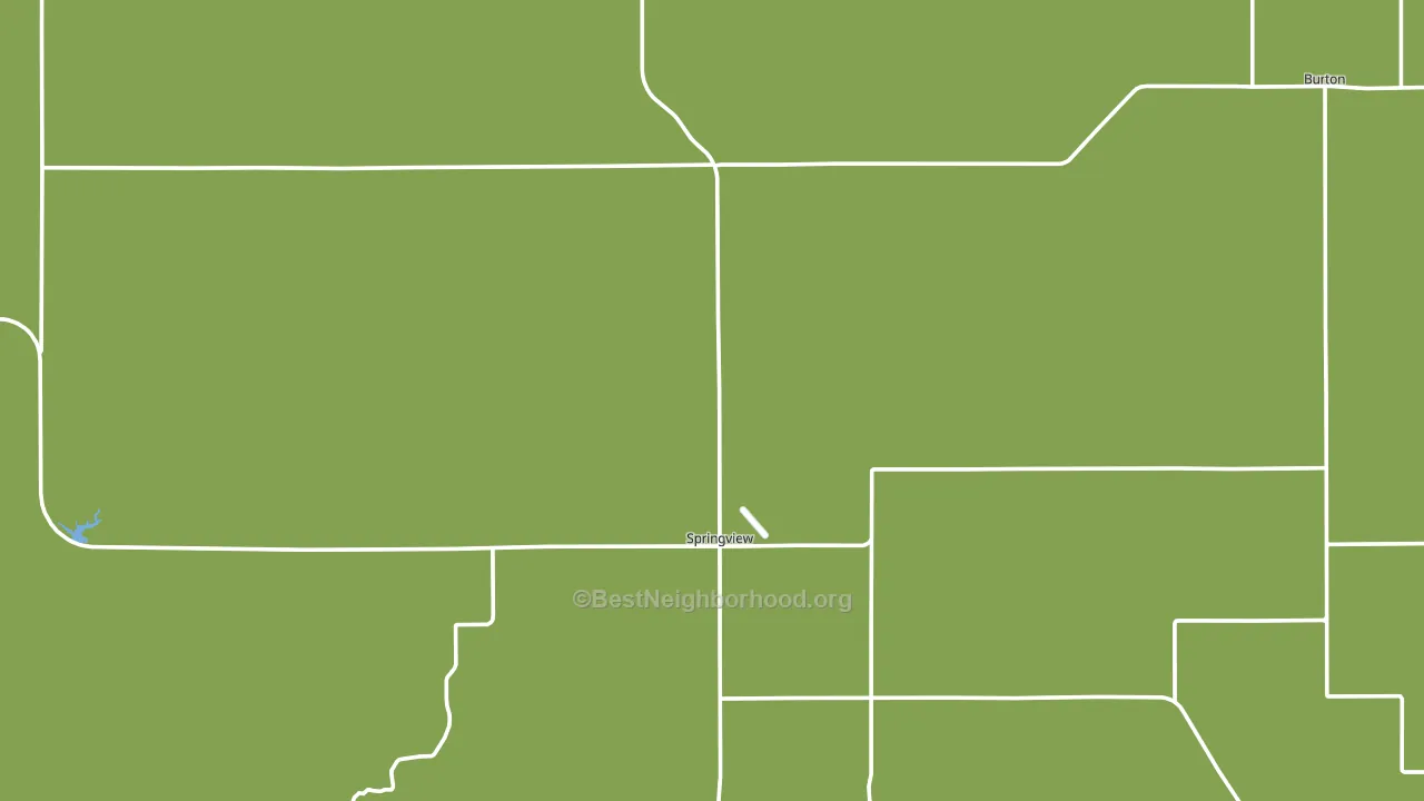Springview, NE block-group voter-turnout map