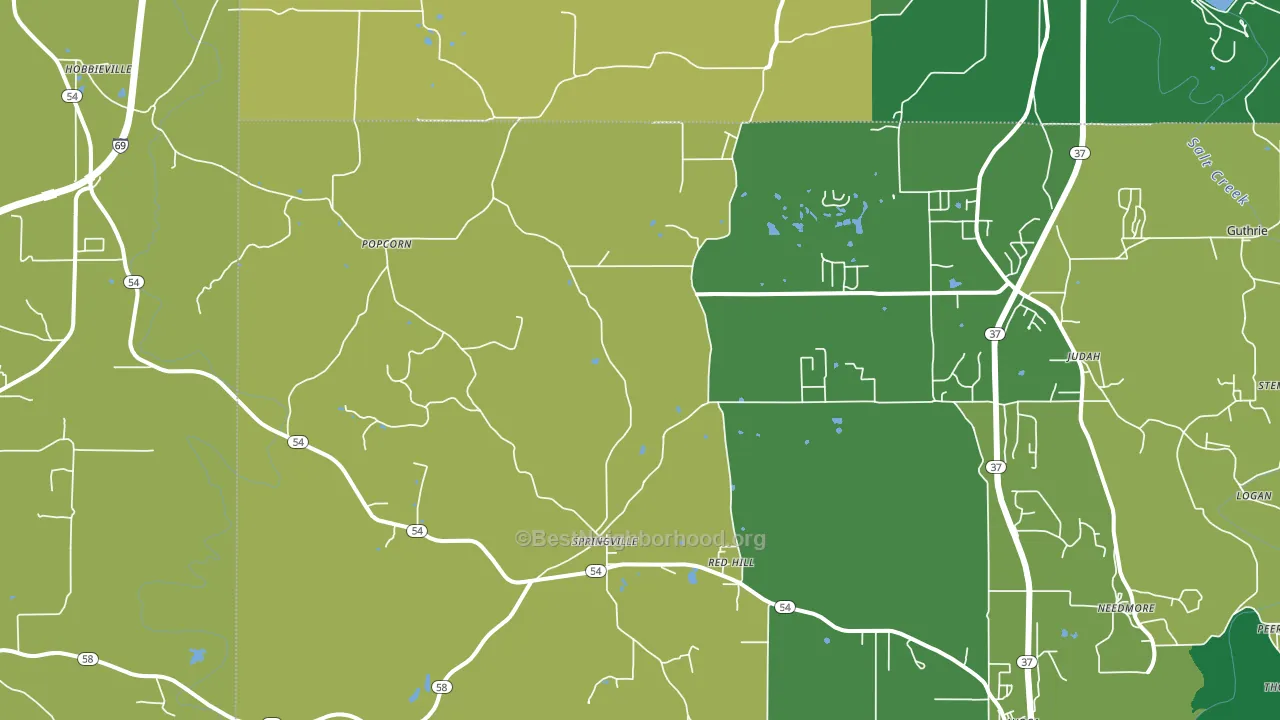 Springville, IN block-group voter-turnout map