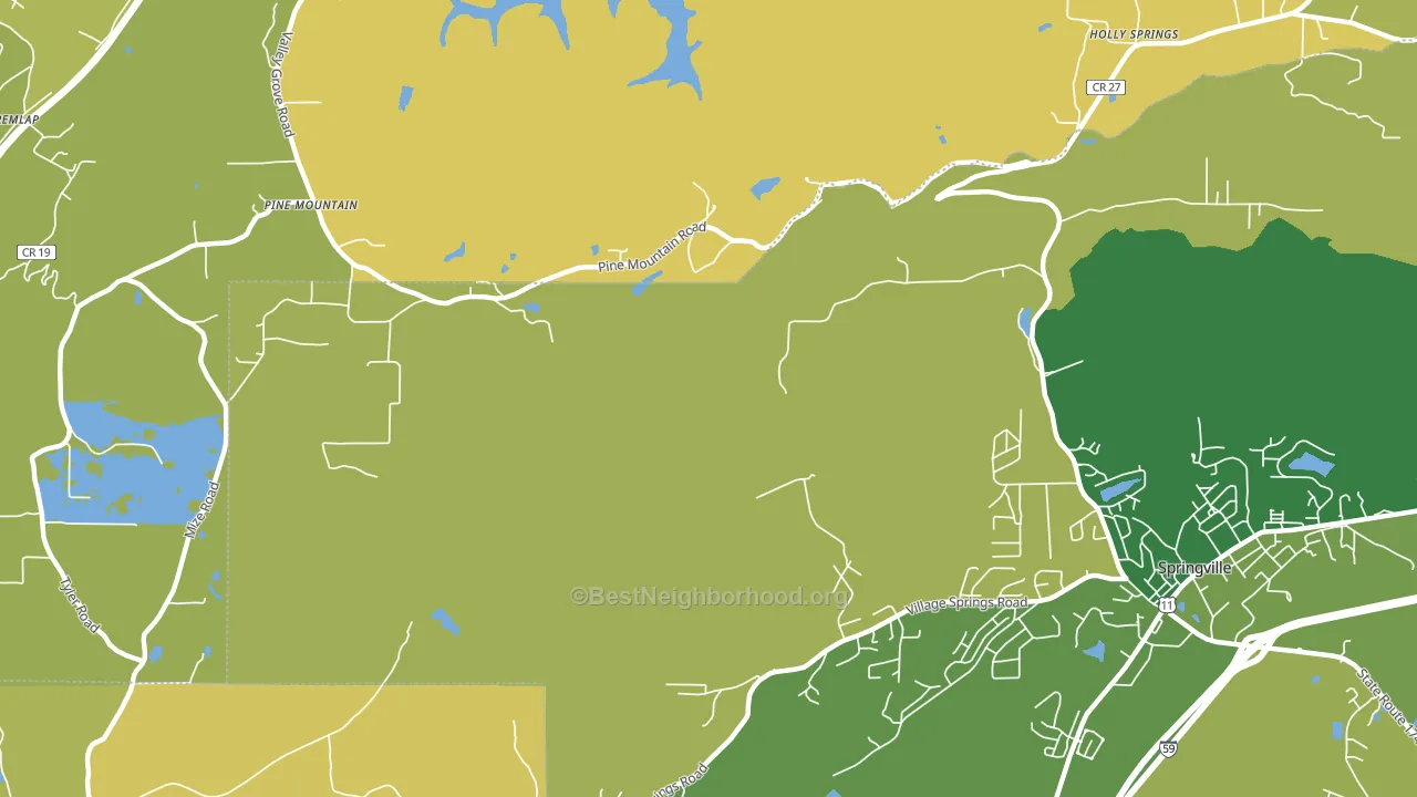 Springville Lake Estates, AL block-group voter-turnout map