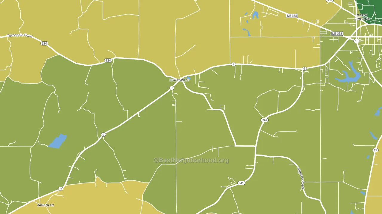 Springville, MS block-group voter-turnout map