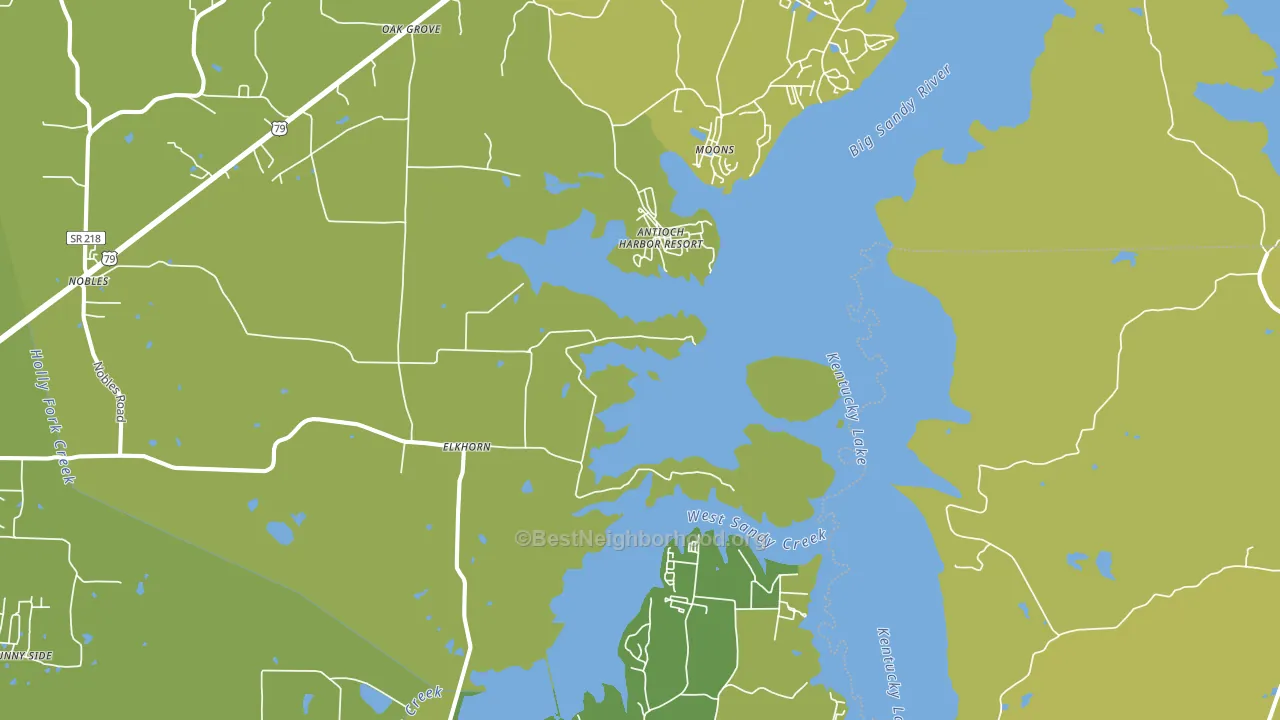 Springville, TN block-group voter-turnout map