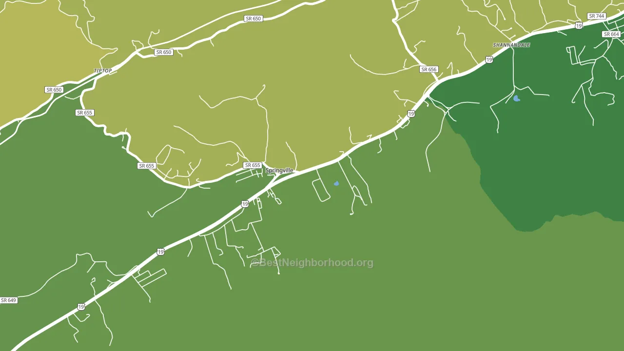 Springville, VA block-group voter-turnout map