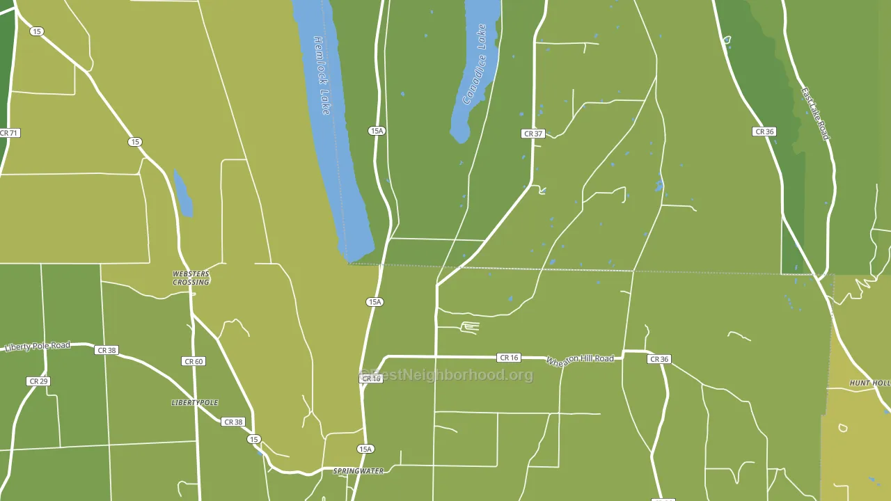 Springwater, NY block-group voter-turnout map