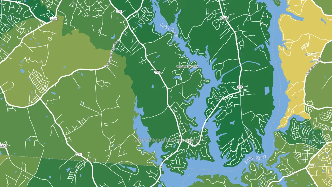 Springwood, NC block-group voter-turnout map