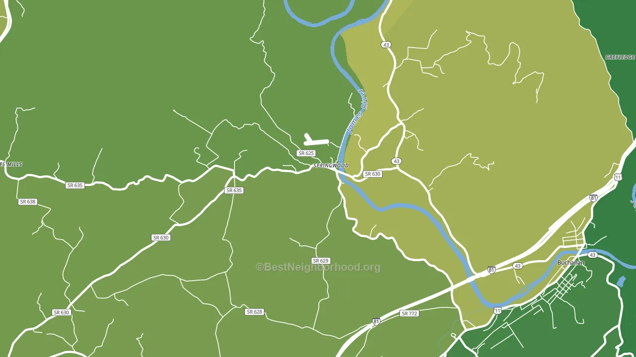 Springwood, VA block-group voter-turnout map