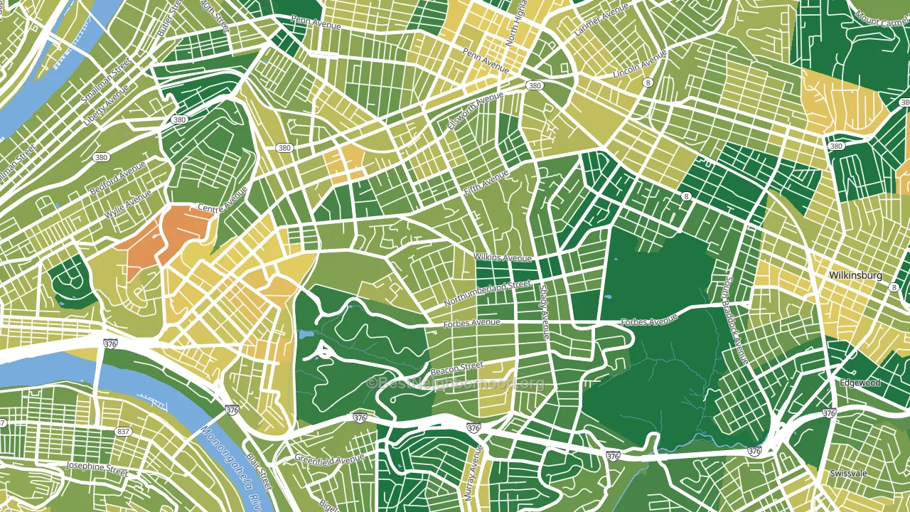 Squirrel Hill North, Pittsburgh, PA block-group voter-turnout map