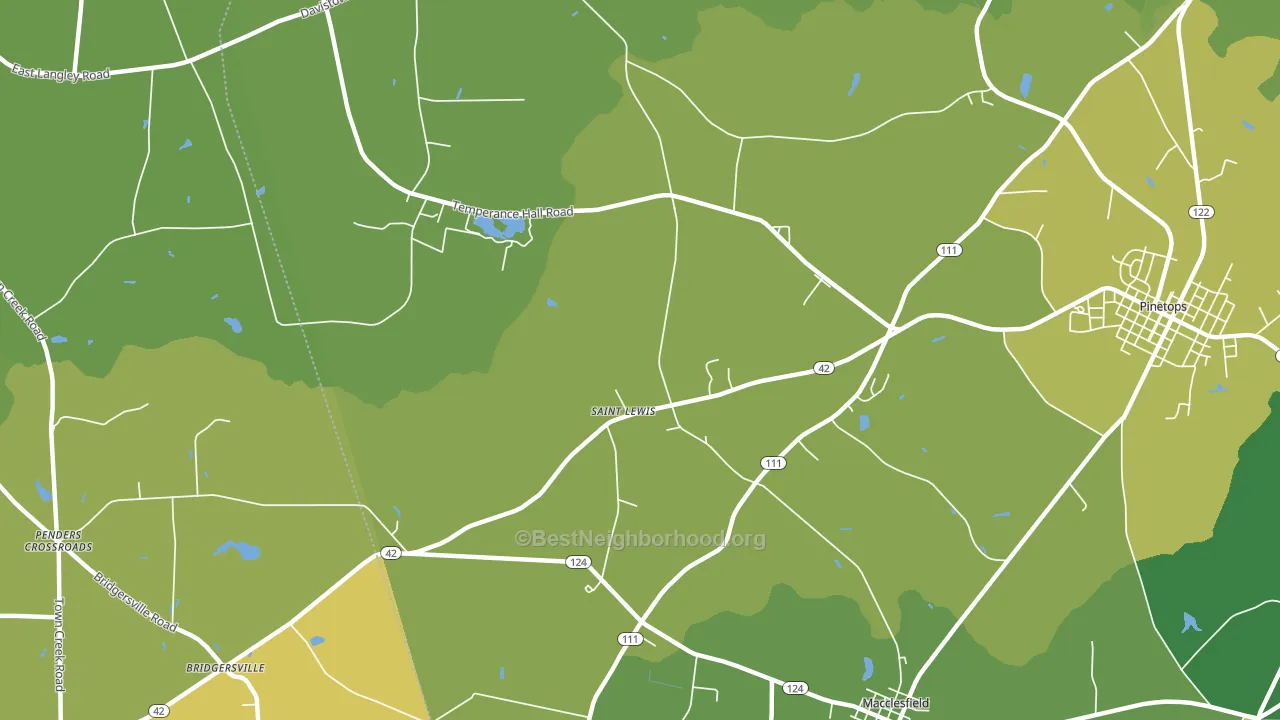 St. Lewis, NC block-group voter-turnout map
