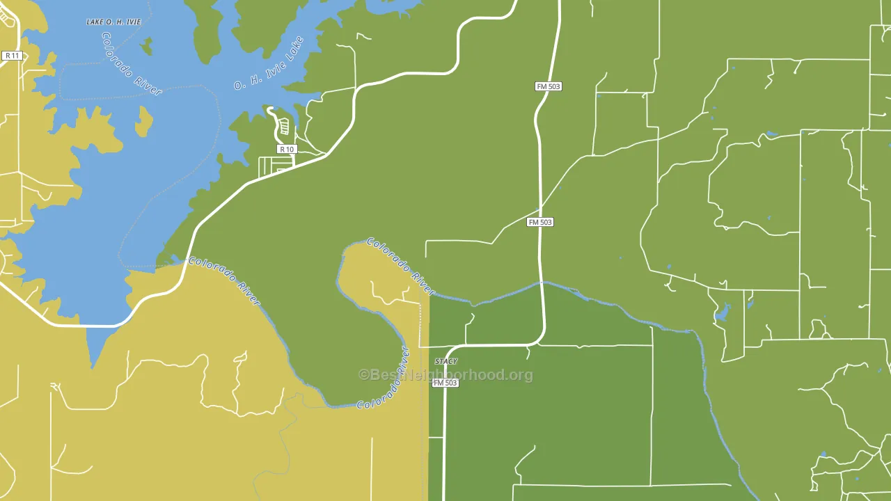 Stacy, TX block-group voter-turnout map