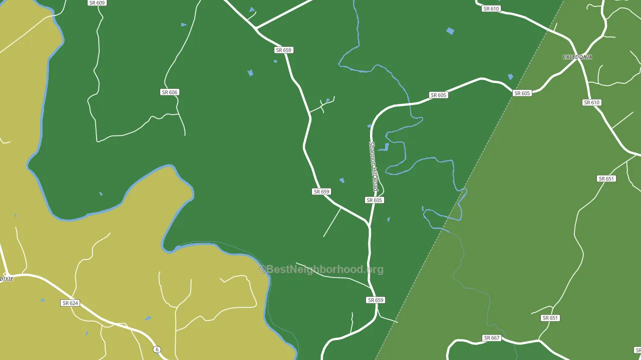 Stage Junction, VA block-group voter-turnout map