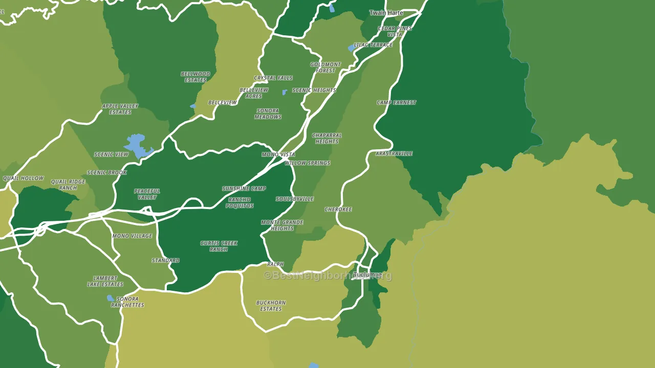 Standard, CA block-group voter-turnout map
