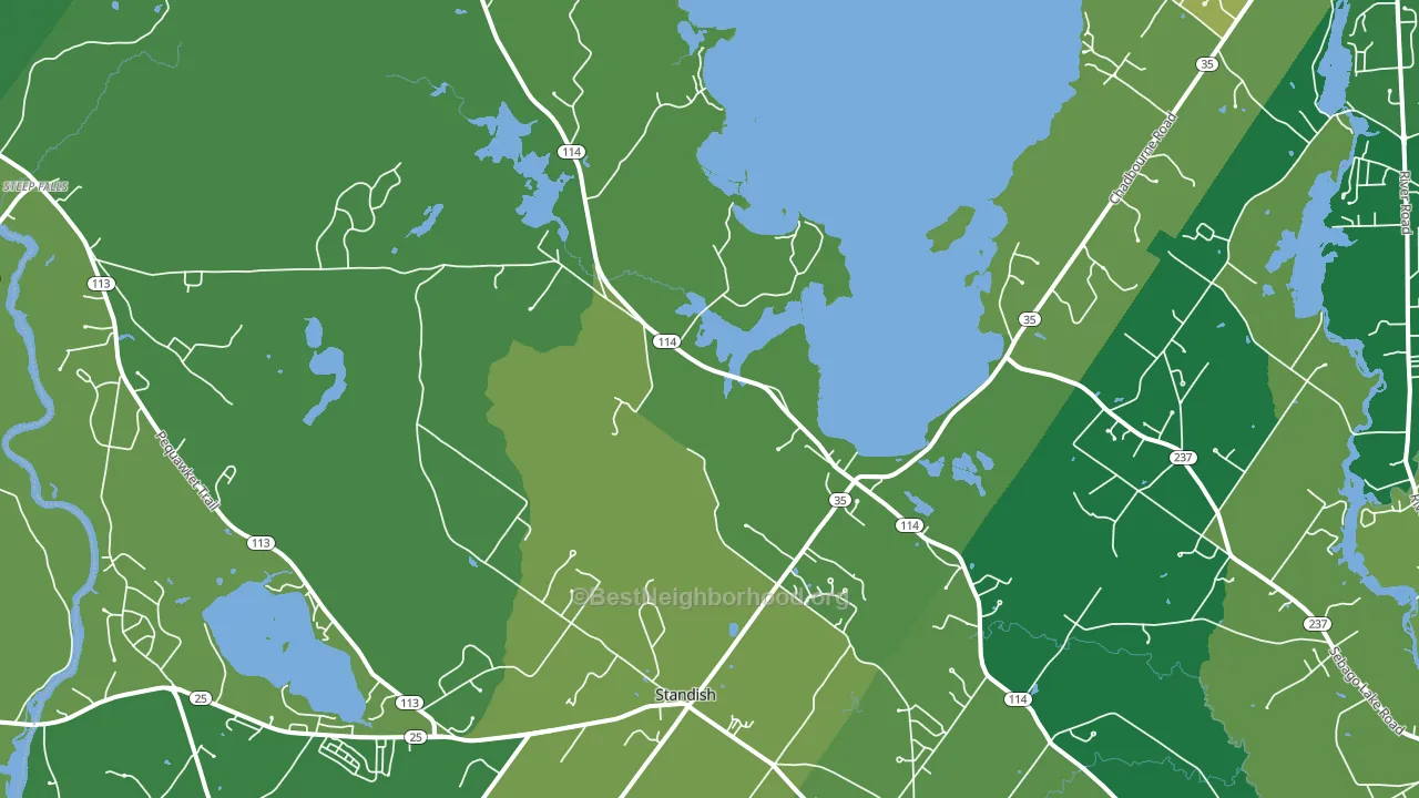 Standish, ME block-group voter-turnout map