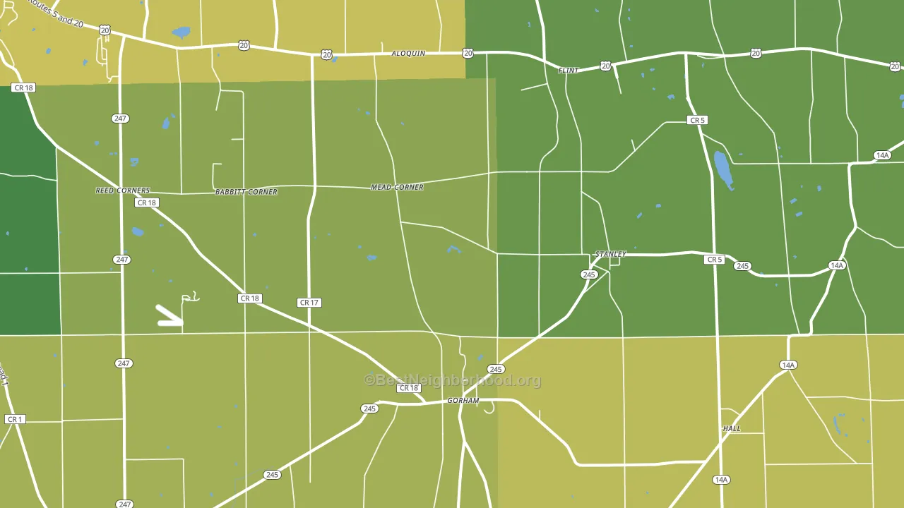 Stanley, NY block-group voter-turnout map