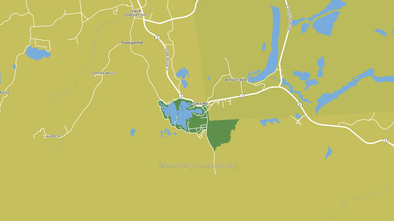 Star Lake, NY block-group voter-turnout map