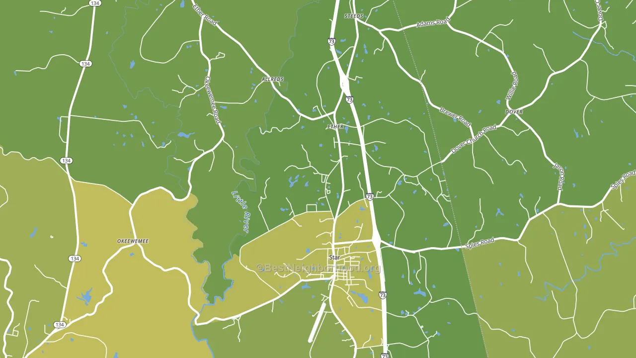 Star, NC block-group voter-turnout map