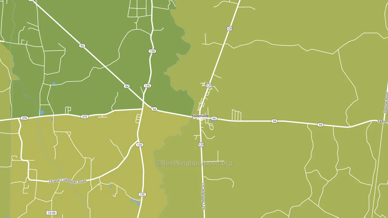Statenville, GA block-group voter-turnout map