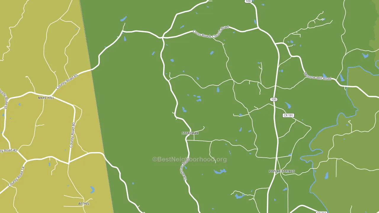Steadman, GA block-group voter-turnout map