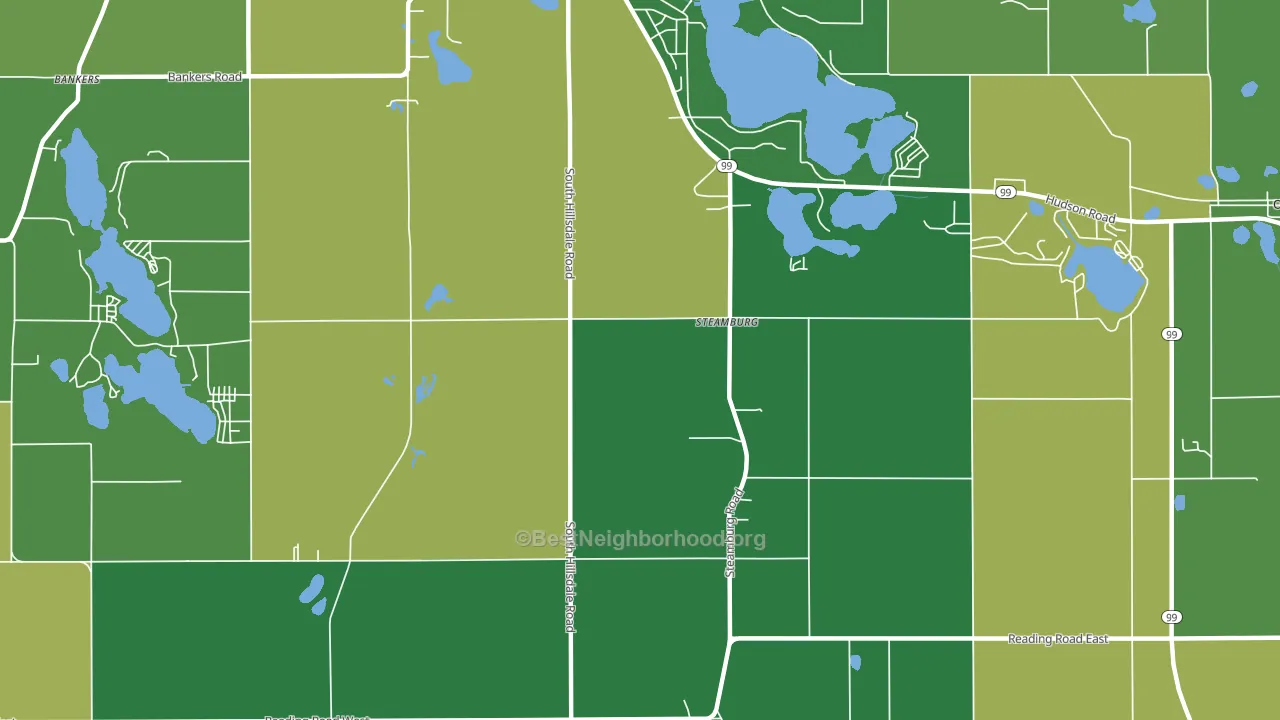 Steamburg, MI block-group voter-turnout map
