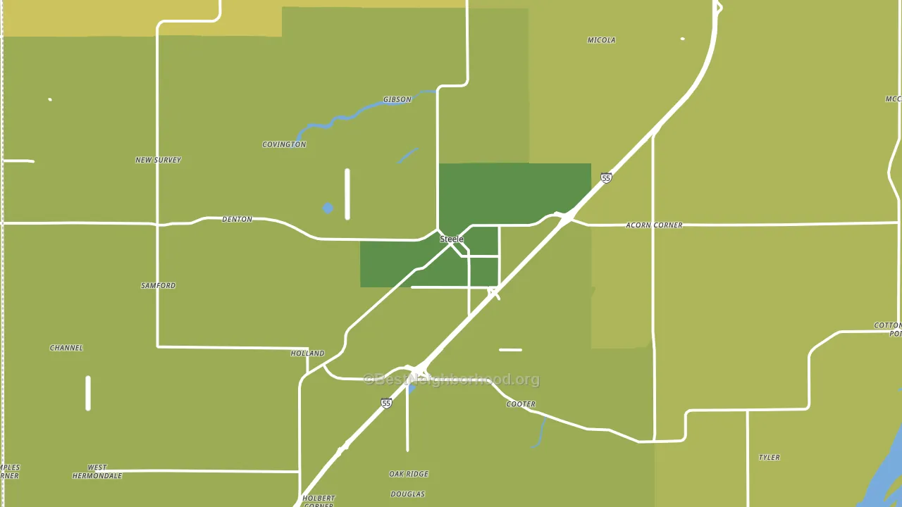 Steele, MO block-group voter-turnout map