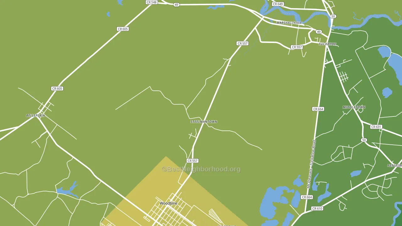 Steelmantown, NJ block-group voter-turnout map