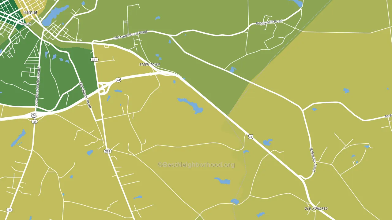 Steen Town, NC block-group voter-turnout map