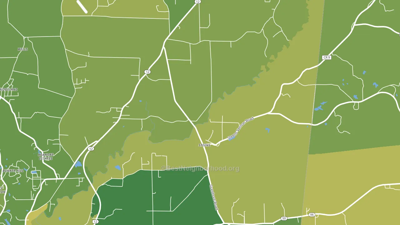 Steens, MS block-group voter-turnout map