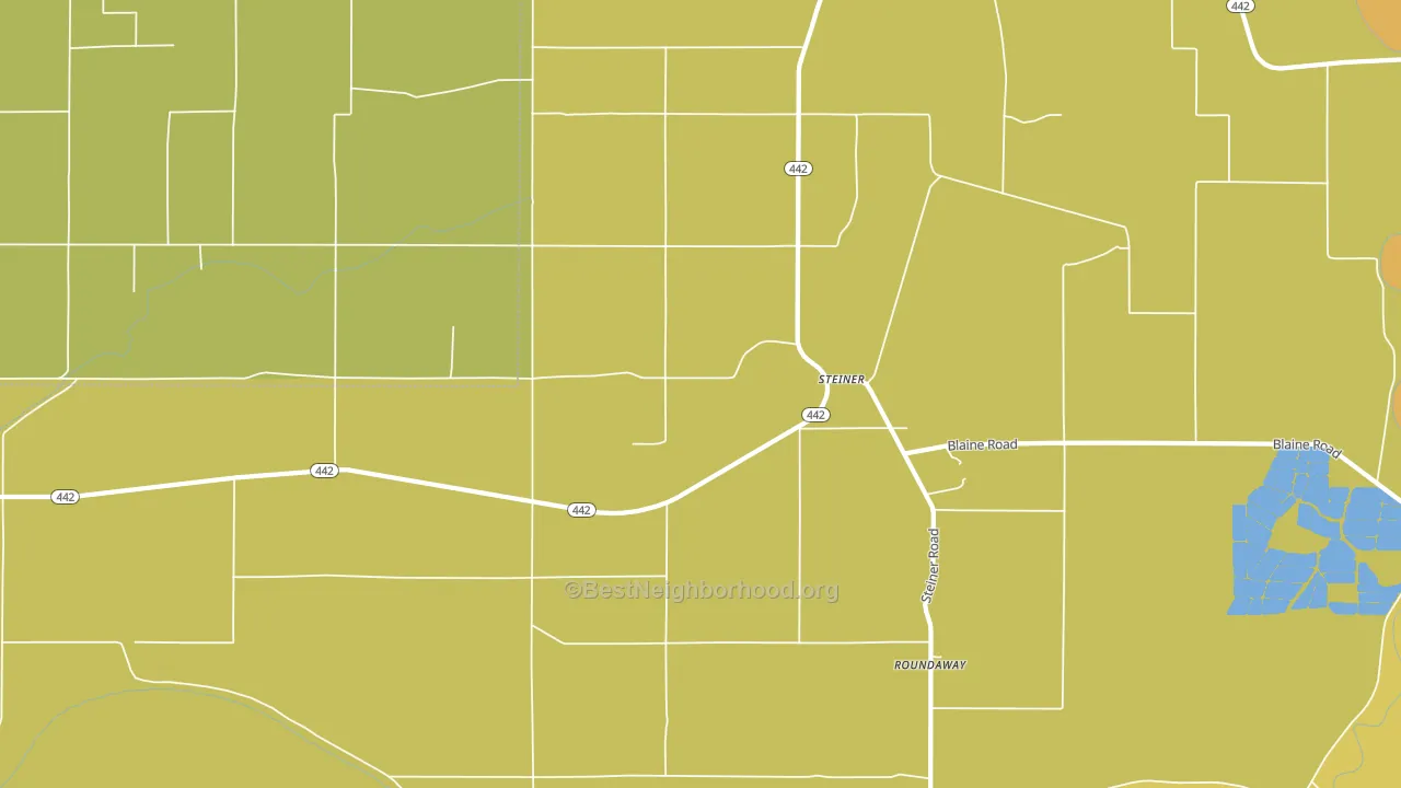 Steiner, MS block-group voter-turnout map