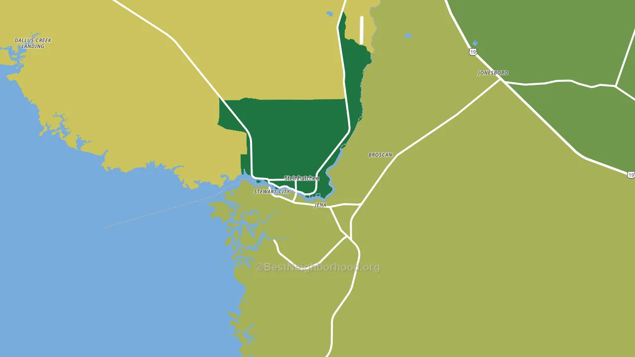 Steinhatchee, FL block-group voter-turnout map