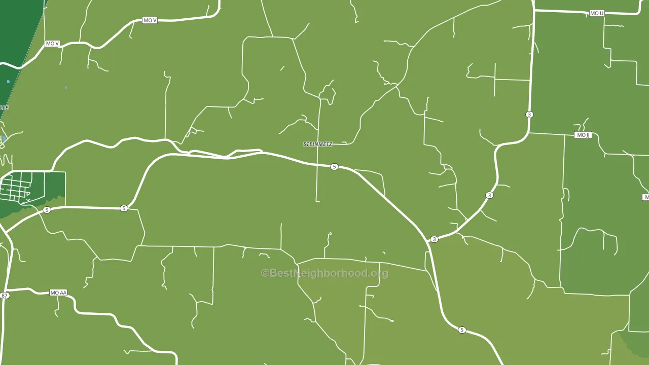 Steinmetz, MO block-group voter-turnout map