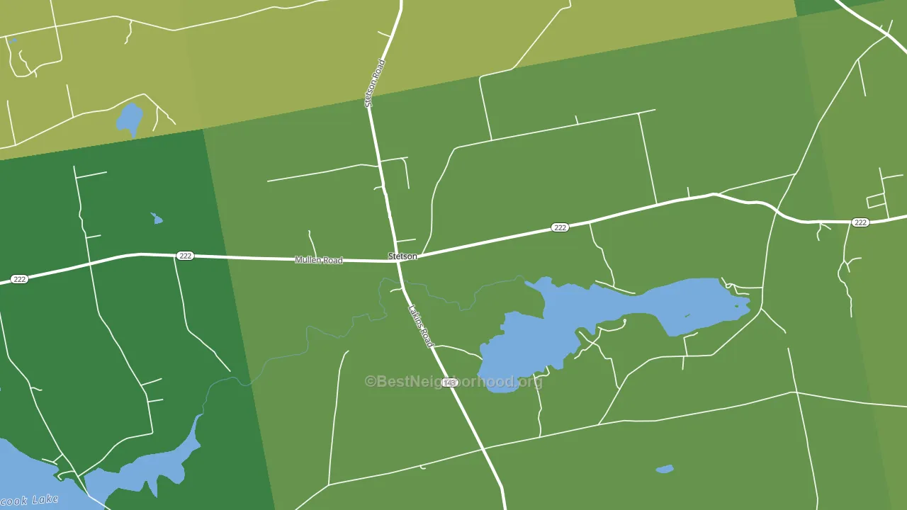Stetson, ME block-group voter-turnout map