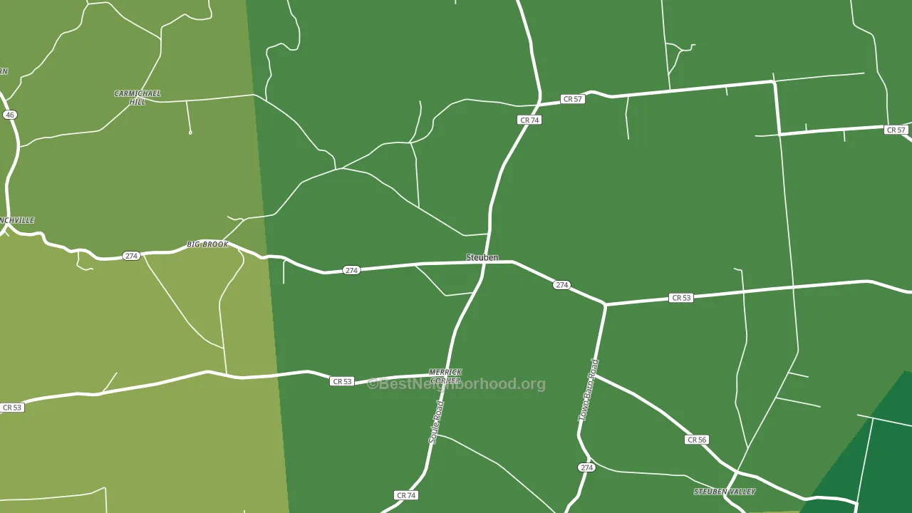 Steuben, NY block-group voter-turnout map