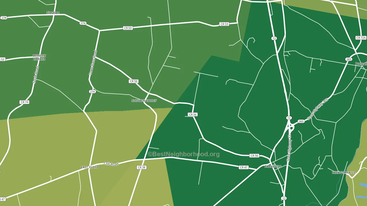Steuben Valley, NY block-group voter-turnout map
