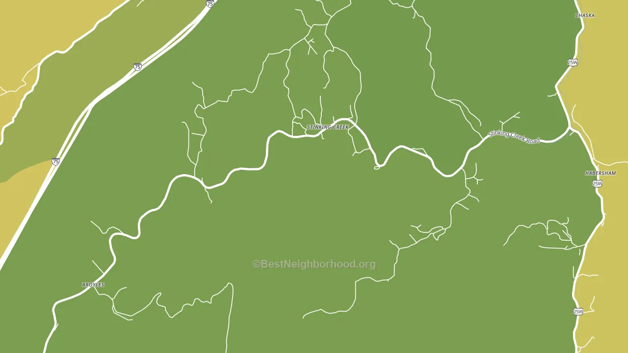 Stinking Creek, TN block-group voter-turnout map