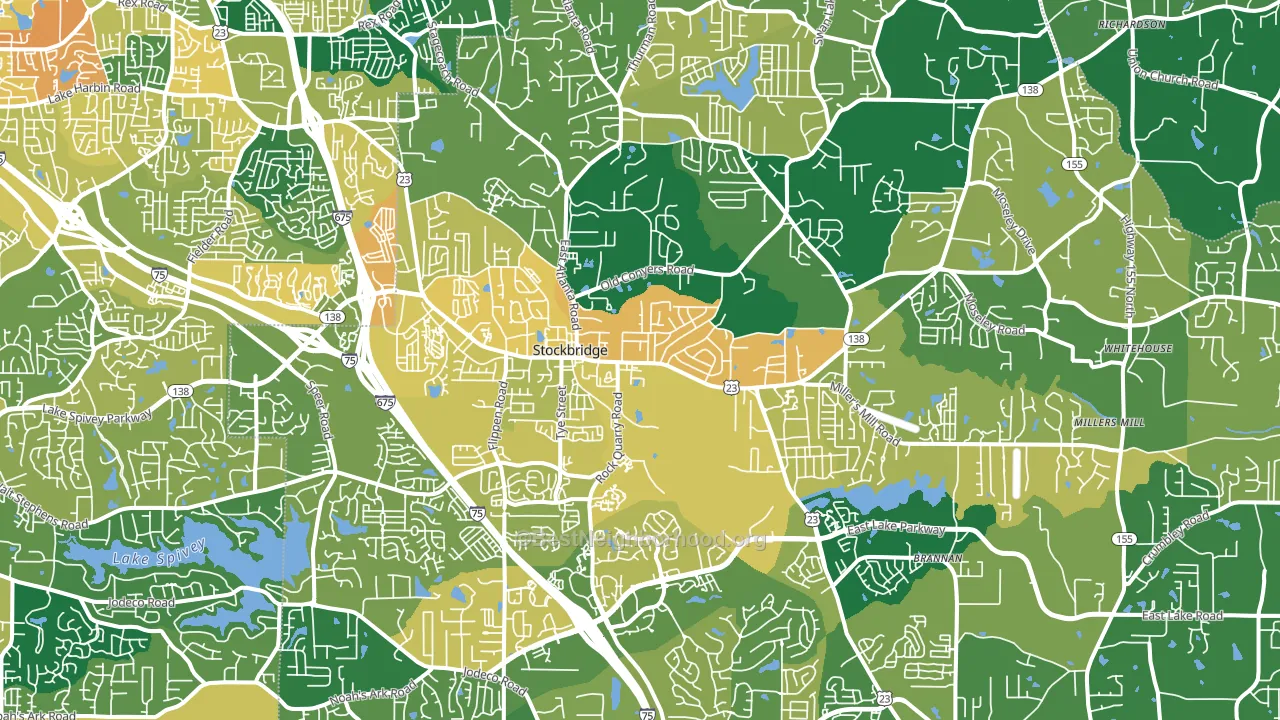 Stockbridge, GA block-group voter-turnout map