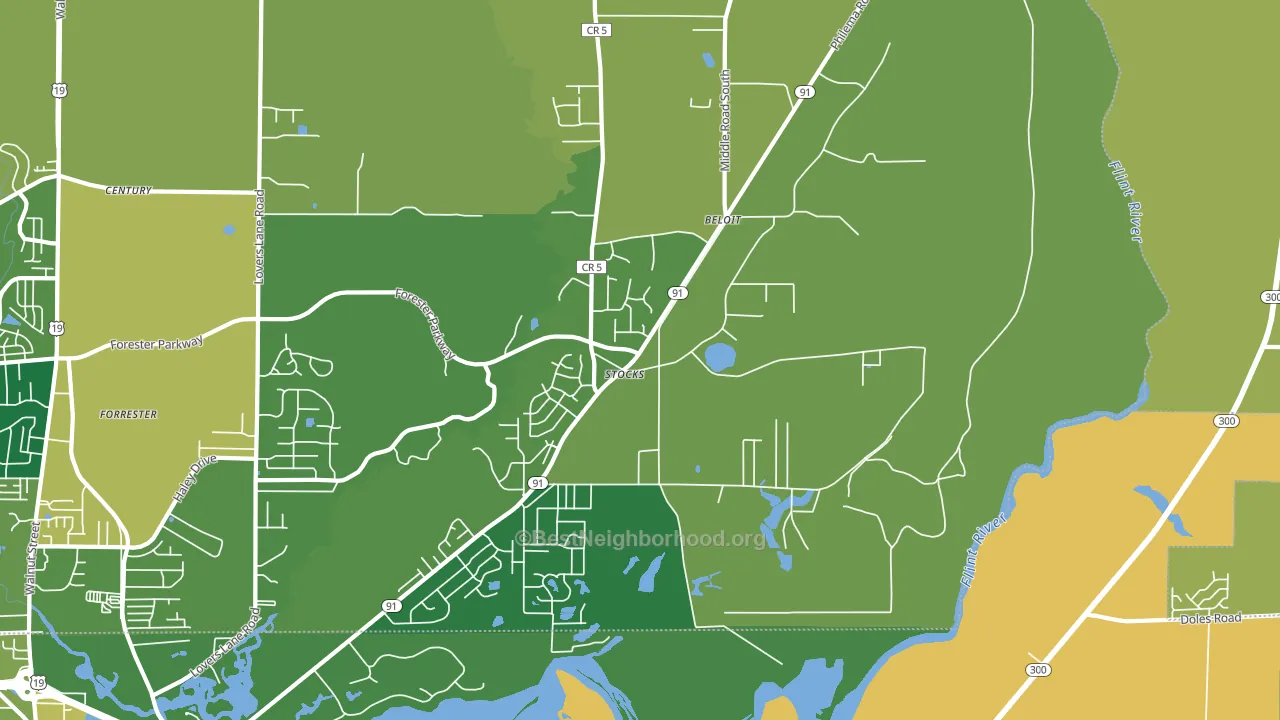Stocks, GA block-group voter-turnout map