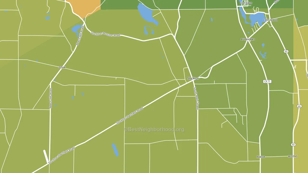 Stockton, NY block-group voter-turnout map