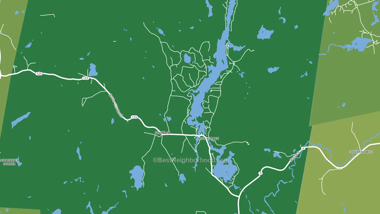 Stoddard, NH block-group voter-turnout map